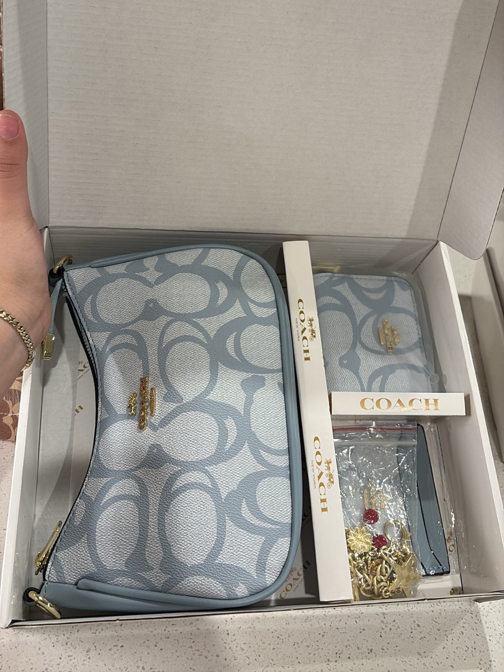 Coach Light Blue Signature Crossbody and Wallet Set